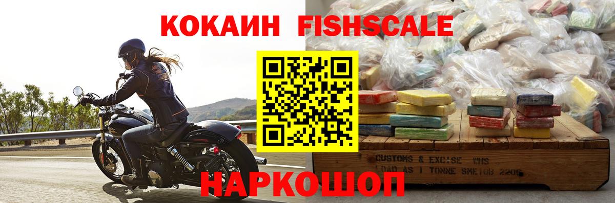 продажа наркотиков  Вход с VPN  Ефремов  COCAIN Fish Scale 