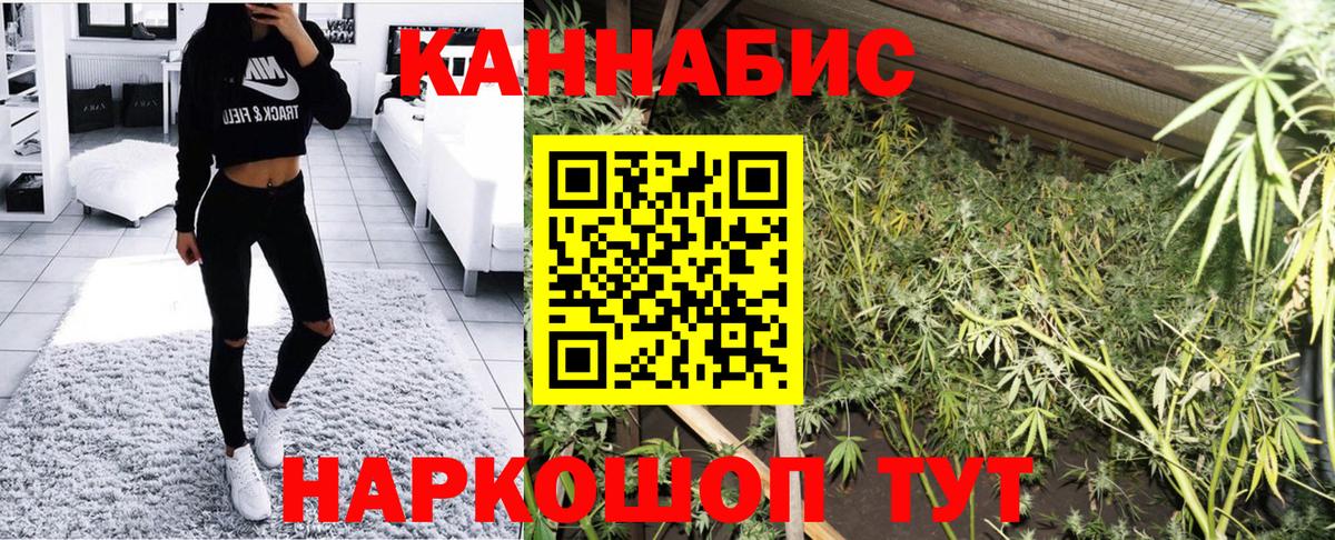 Бошки марихуана семена Ефремов